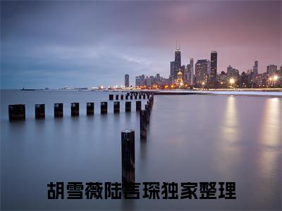 胡雪薇陆言琛最新章节（胡雪薇陆言琛）全文免费阅读无弹窗大结局_胡雪薇陆言琛小说全文免费阅读正版无弹窗_笔趣阁