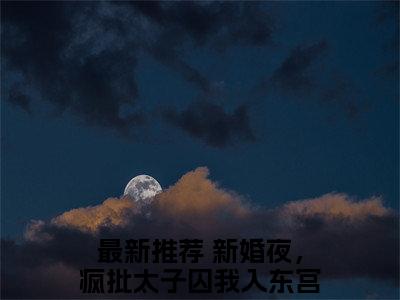 热门小说新婚夜，疯批太子囚我入东宫   魏安宁殷莫寒新婚夜，疯批太子囚我入东宫 全文免费阅读无弹窗大结局-魏安宁殷莫寒全文无弹窗免费阅读大结局