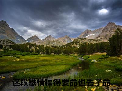 姜震庭苏茉柔的小说（这段感情痛得要命也丢了命）免费阅读_姜震庭苏茉柔小说免费阅读-笔趣阁（这段感情痛得要命也丢了命）