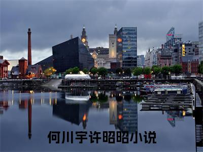 何川宇许昭昭小说免费（何川宇许昭昭免费阅读）何川宇许昭昭全文免费阅读无弹窗大结局_何川宇许昭昭小说最新章节列表（何川宇许昭昭）