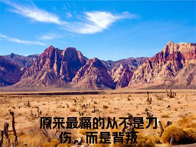 主人公叫（原来最痛的从不是刀伤，而是背叛）的小说（萧时樾沈离浅）免费阅读最新章节列表_笔趣阁