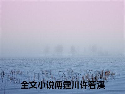 傅霆川许若溪全集小说（傅霆川许若溪）全文免费阅读无弹窗大结局_傅霆川许若溪最新章节列表_笔趣阁（傅霆川许若溪）