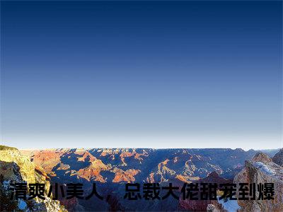 凌雨馨战时南（清爽小美人，总裁大佬甜宠到爆）小说全文免费阅读正版无弹窗，凌雨馨战时南免费阅读