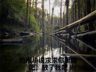 沈婉华陆振国小说全文免费阅读-求求你离婚吧，放了我吧小说最新章节列表（沈婉华陆振国）