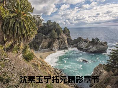 沈素玉宁拓元精选小说大结局阅读-新上热文小说（沈素玉宁拓元）讲的是什么