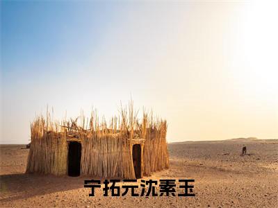 宁拓元沈素玉精彩小说宁拓元沈素玉大结局全本免费阅读