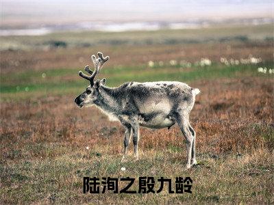 (热推新书)陆洵之殷九龄完整版免费小说无弹窗阅读_陆洵之殷九龄最新章节列表_笔趣阁（陆洵之殷九龄）