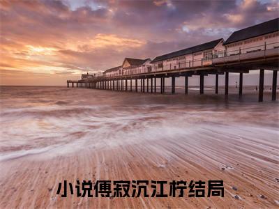 承欢无度小说免费全本-傅寂沉江柠小说（承欢无度完整版）免费阅读