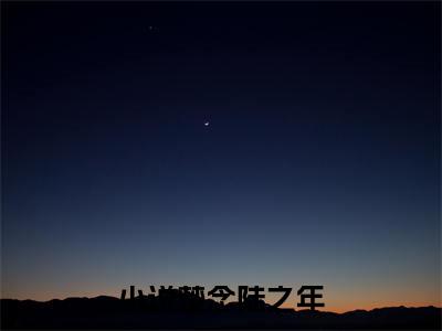 楚念陆之年（楚念陆之年）全文免费阅读无弹窗大结局_(楚念陆之年)免费阅读无弹窗最新章节列表