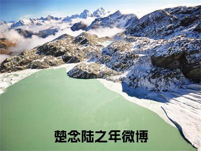 楚念陆之年小说最新章节（楚念陆之年）全文免费阅读无弹窗大结局_楚念陆之年免费阅读（楚念陆之年小说）