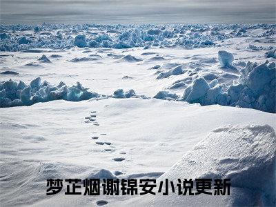 梦芷烟谢锦安（梦芷烟谢锦安小说）小说全文免费阅读无弹窗大结局_（梦芷烟谢锦安）梦芷烟谢锦安最新章节列表_笔趣阁