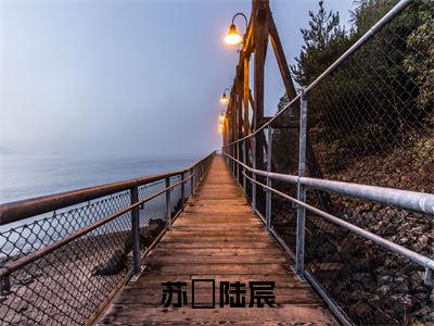 苏玥陆宸全文免费阅读在线阅读 苏玥陆宸全文免费阅读最新章节列表_笔趣阁