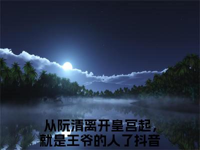 谢熠储阮清小说全文免费阅读无弹窗大结局_（谢熠储阮清全文免费阅读）从阮清离开皇宫起，就是王爷的人了最新章节列表笔趣阁