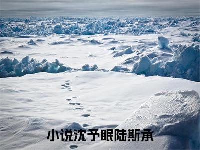 沈予眠陆斯承免费阅读无弹窗（沈予眠陆斯承）全文免费阅读无弹窗大结局_沈予眠陆斯承最新章节列表_笔趣阁（沈予眠陆斯承）