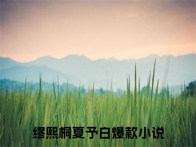小说完整版缪熙桐夏予白大结局-缪熙桐夏予白是什么书《缪熙桐夏予白》