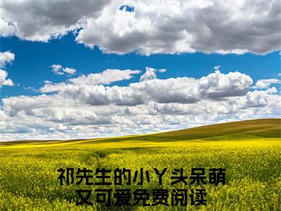 言桉桉祁延(祁先生的小丫头呆萌又可爱)全文免费阅读无弹窗大结局_ (言桉桉祁延)免费阅读无弹窗最新章节列表_笔趣阁