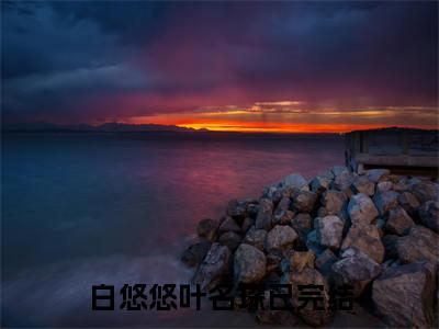 白悠悠叶名琛火爆言情小说阅读全文-白悠悠叶名琛免费版已更新