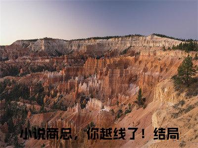 商总，你越线了！（商绍城岑青禾）全文免费阅读-（商总，你越线了！）商绍城岑青禾最新章节小说阅读-笔趣阁