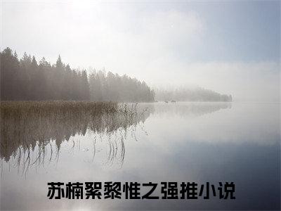 苏楠絮黎惟之小说全文免费阅读（苏楠絮黎惟之）全文免费阅读无弹窗大结局_（苏楠絮黎惟之）苏楠絮黎惟之结局最新章节列表_笔趣阁（苏楠絮黎惟之）