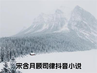 2023好看的小说阅读-宋含月顾司律（宋含月顾司律）小说已更新今天
