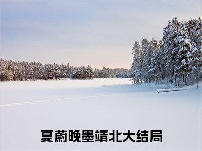 夏蔚晚墨靖北最新章节（夏蔚晚墨靖北）全文免费阅读无弹窗大结局_夏蔚晚墨靖北免费阅读（夏蔚晚墨靖北）