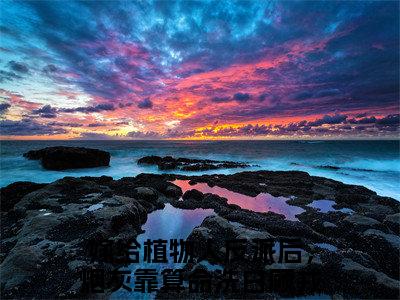 嫁给植物人反派后，炮灰靠算命洗白顾戎最新更新热门榜单小说（嫁给植物人反派后，炮灰靠算命洗白顾戎全集小说完整版笔趣阁）嫁给植物人反派后，炮灰靠算命洗白顾戎全文阅读