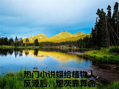 嫁给植物人反派后，炮灰靠算命洗白顾戎（嫁给植物人反派后，炮灰靠算命洗白顾戎）全文免费阅读无弹窗大结局_（嫁给植物人反派后，炮灰靠算命洗白顾戎无弹窗）_笔趣阁