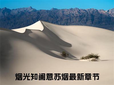 烟光知阑意苏烟（烟光知阑意苏烟）最新章节阅读-（烟光知阑意苏烟）免费阅读大结局无弹窗
