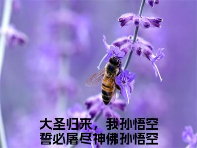 大圣归来，我孙悟空誓必屠尽神佛孙悟空知乎高赞小说阅读 大圣归来，我孙悟空誓必屠尽神佛孙悟空无弹窗在线免费阅读