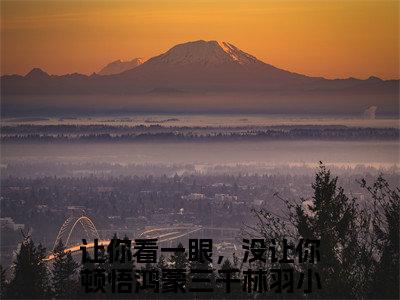 让你看一眼，没让你顿悟鸿蒙三千林羽（让你看一眼，没让你顿悟鸿蒙三千林羽）小说全文免费阅读无弹窗大结局_（让你看一眼，没让你顿悟鸿蒙三千林羽）让你看一眼，没让你顿悟鸿蒙三千林羽最新章节列表笔趣阁（让你看一眼，没让你顿悟鸿蒙三千林羽）