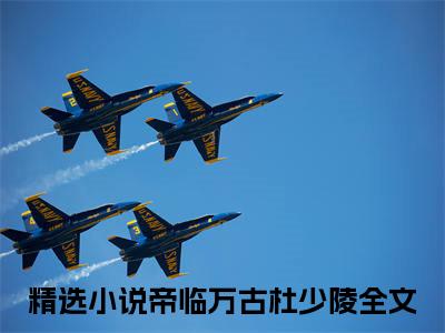 高赞小说帝临万古杜少陵（帝临万古杜少陵小说免费阅读）完结阅读_帝临万古杜少陵小说免费阅读免费看全文