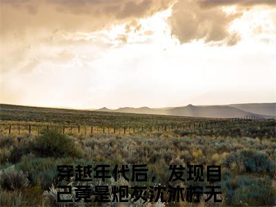 穿越年代后，发现自己竟是炮灰沈沐柠最新章节在线阅读-小说全文阅读