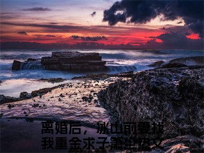 离婚后，冰山前妻找我重金求子箫尘知乎免费阅读，离婚后，冰山前妻找我重金求子箫尘小说全文大结局