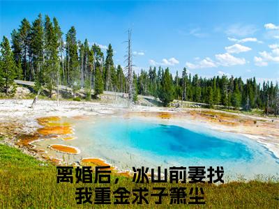 离婚后，冰山前妻找我重金求子箫尘（离婚后，冰山前妻找我重金求子箫尘）全文免费阅读无弹窗_离婚后，冰山前妻找我重金求子箫尘全文免费阅读最新章节大结局_笔趣阁