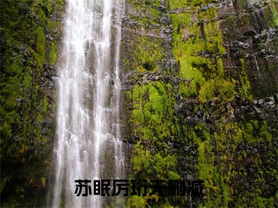 （苏眠厉珩）抖音苏眠厉珩小说阅读完结版-小说苏眠厉珩全文免费阅读