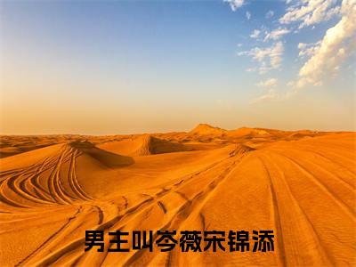 岑薇宋锦添全文免费阅读无弹窗大结局_岑薇宋锦添小说免费阅读