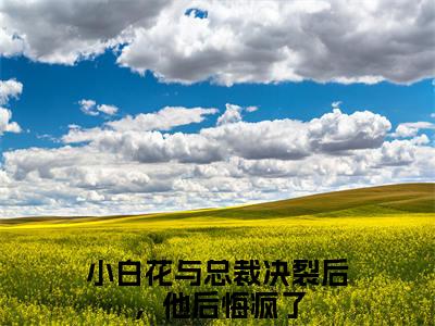 小白花与总裁决裂后，他后悔疯了全文免费阅读大结局-沈宜周从谨最新章节阅读
