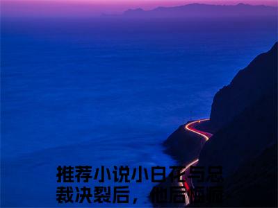 沈宜周从谨（小白花与总裁决裂后，他后悔疯了）全文免费阅读无弹窗大结局_小白花与总裁决裂后，他后悔疯了小说最新章节列表_笔趣阁(沈宜周从谨）