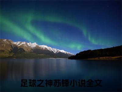 足球之神苏锋言情小说免费观看-小说(足球之神苏锋)最新章节阅读