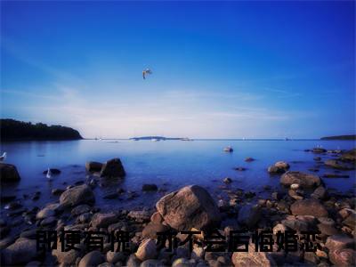 谢存旭阮念清即便有愧，亦不会后悔完整全文在线阅读 即便有愧，亦不会后悔抖音热推小说全集无删减