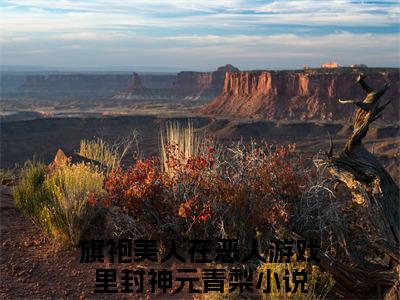 旗袍美人在恶人游戏里封神元青梨的小说全文免费阅读无弹窗大结局-《旗袍美人在恶人游戏里封神元青梨》完整章节阅读