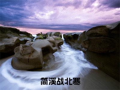 幸孕甜妻：战总夜夜宠不够（简溪战北寒）小说全文免费阅读无弹窗大结局_（简溪战北寒免费阅读）幸孕甜妻：战总夜夜宠不够最新章节列表笔趣阁