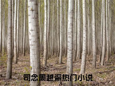 司念周越深全本资源免费阅读结局无删节主角：我在八零年代当后妈小说全文阅读无弹窗