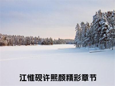 江惟砚许熙颜（江惟砚许熙颜）全文免费阅读无弹窗大结局_江惟砚许熙颜最新章节列表_笔趣阁
