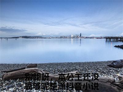 【新书】别跑呀，本公主还没疯够呢楚潇全文全章节免费阅读-别跑呀，本公主还没疯够呢楚潇 全文免费阅读无弹窗大结局
