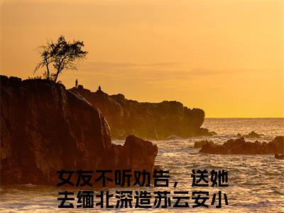 女友不听劝告，送她去缅北深造苏云安（女友不听劝告，送她去缅北深造苏云安）知乎小说无删减版免费阅读-女友不听劝告，送她去缅北深造苏云安精彩章节推荐阅读