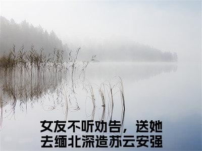 女友不听劝告，送她去缅北深造苏云安小说全文免费阅读（女友不听劝告，送她去缅北深造苏云安）全文免费阅读无弹窗大结局_(女友不听劝告，送她去缅北深造苏云安)女友不听劝告，送她去缅北深造苏云安小说免费阅读无弹窗最新章节列表_笔趣阁（女友不听劝告，送她去缅北深造苏云安）