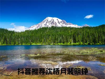 沈栖月裴明铮全文免费阅读无弹窗-沈栖月裴明铮小说最新章节列表