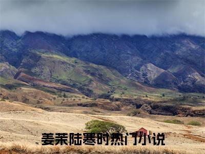 姜茉陆寒时完整章节阅读-姜茉陆寒时全文试读