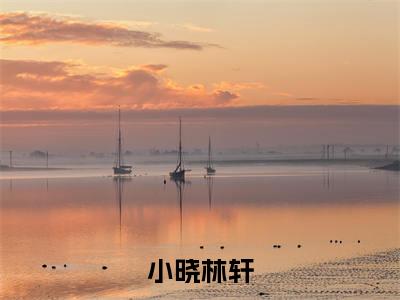 小晓林轩多人追的小说在哪里可以看 小晓林轩知乎连载小说免费阅读全章节
